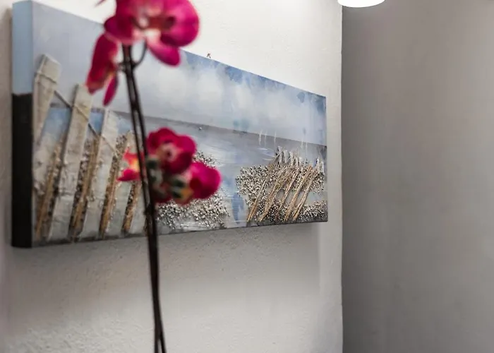 Wellness Hm Wellness By Dimorra * 나폴리