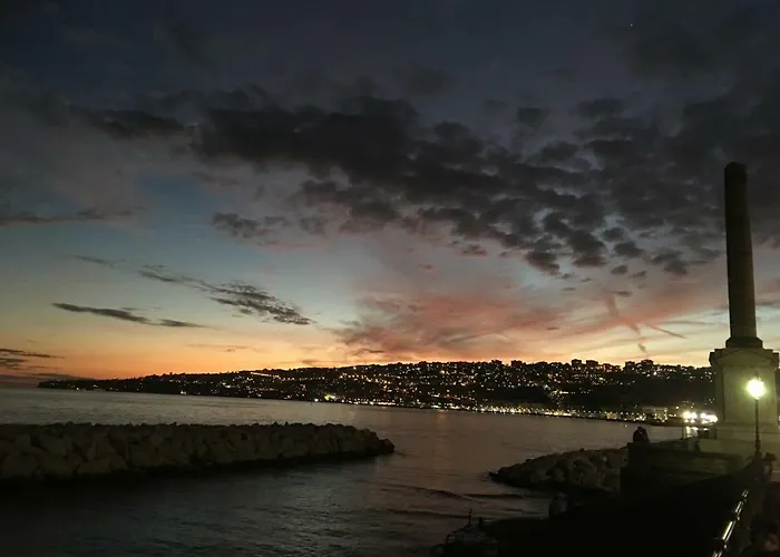 Wellness Hm Wellness By Dimorra